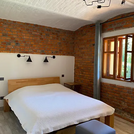 Borow - 팜스테이 Prusice